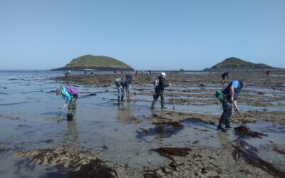 Pêche à pied dans les Côtes d’Armor