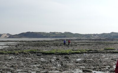 Pêche à pied des moules dans le Boulonnais